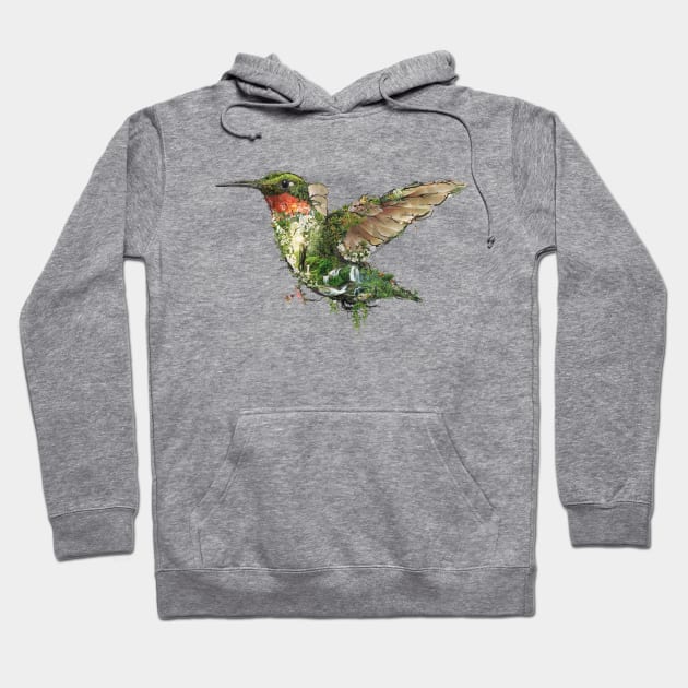 Ruby Throated Hummingbird Hoodie by barrettbiggers